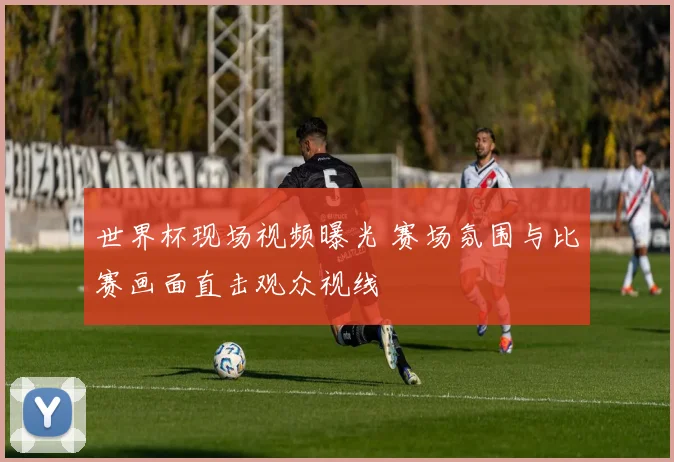 世界杯现场视频曝光 赛场氛围与比赛画面直击观众视线